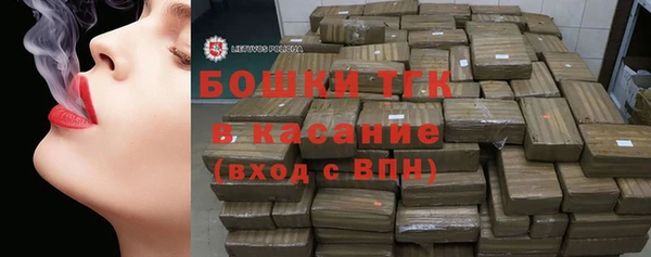 мет Инсар