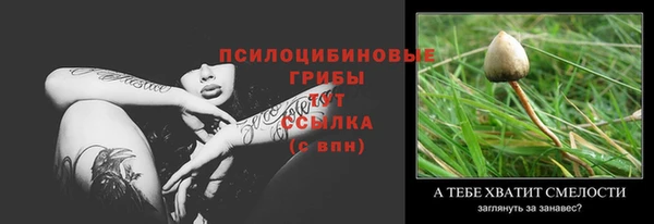 a pvp Карпинск